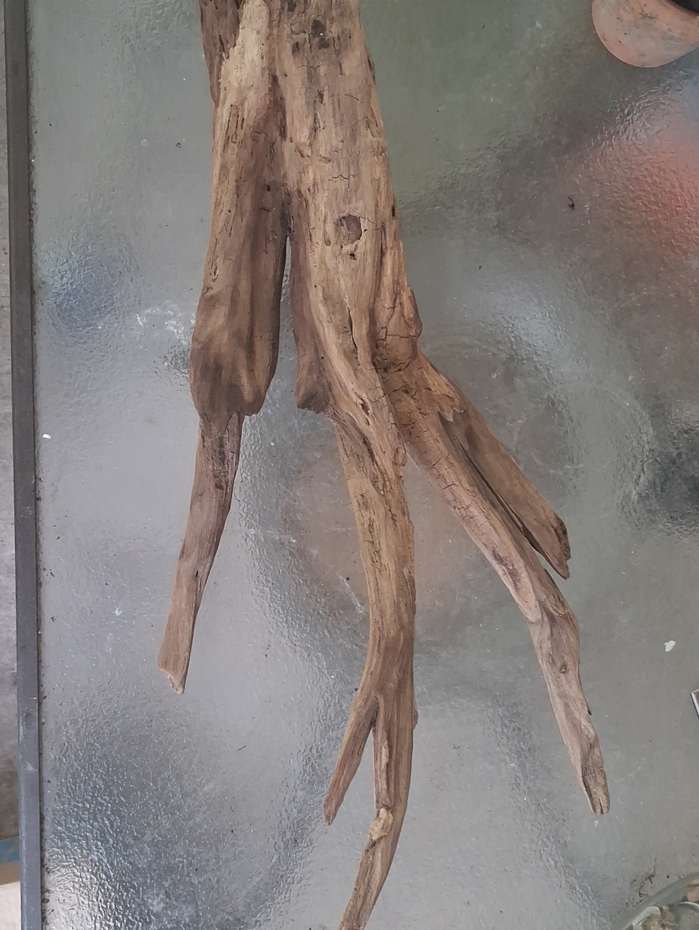 Natural Driftwood Sculpture - Rustic Brown Home Art